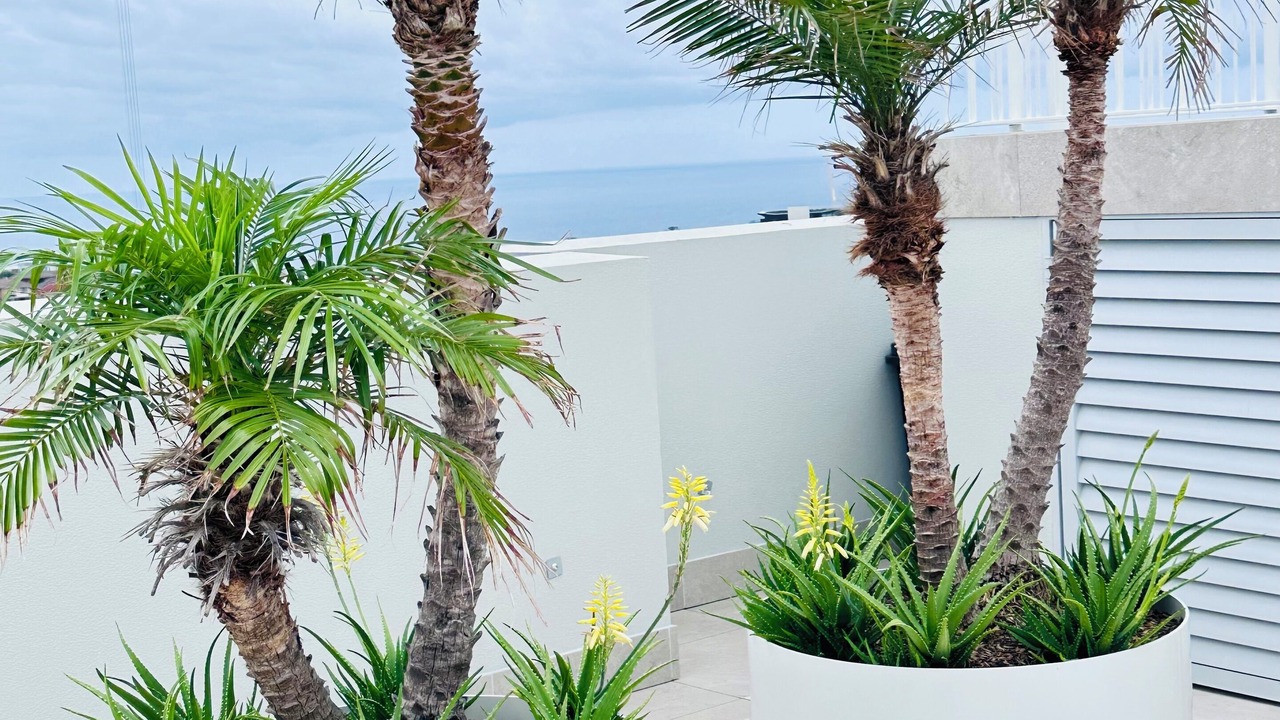 Photo of Outdoor in Bondi