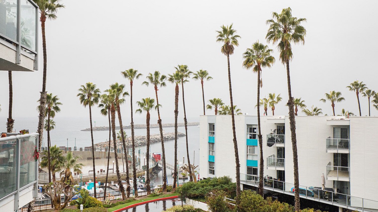 Photo of Others in South Redondo