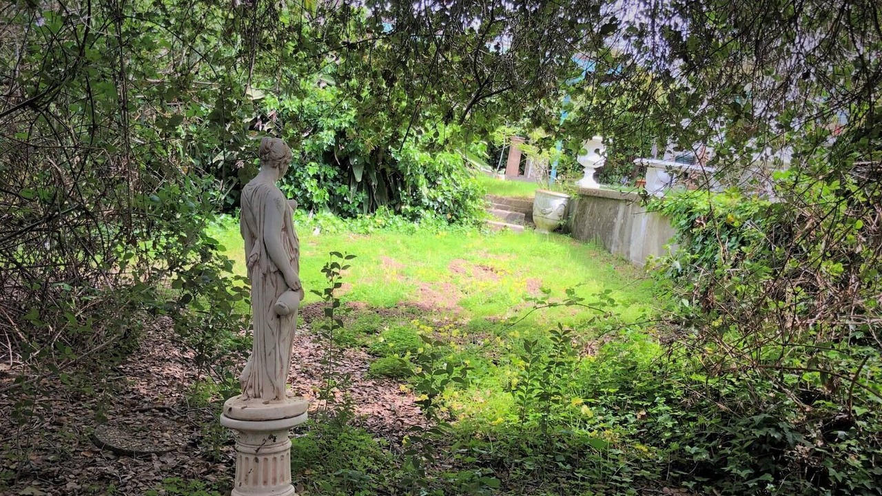 Photo of Outdoor in Monte Sereno