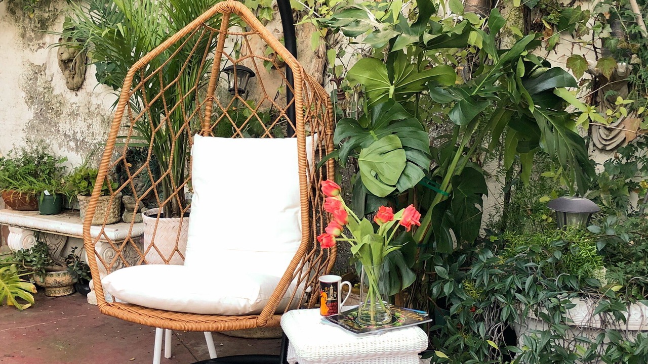 Photo of Outdoor in Monte Sereno