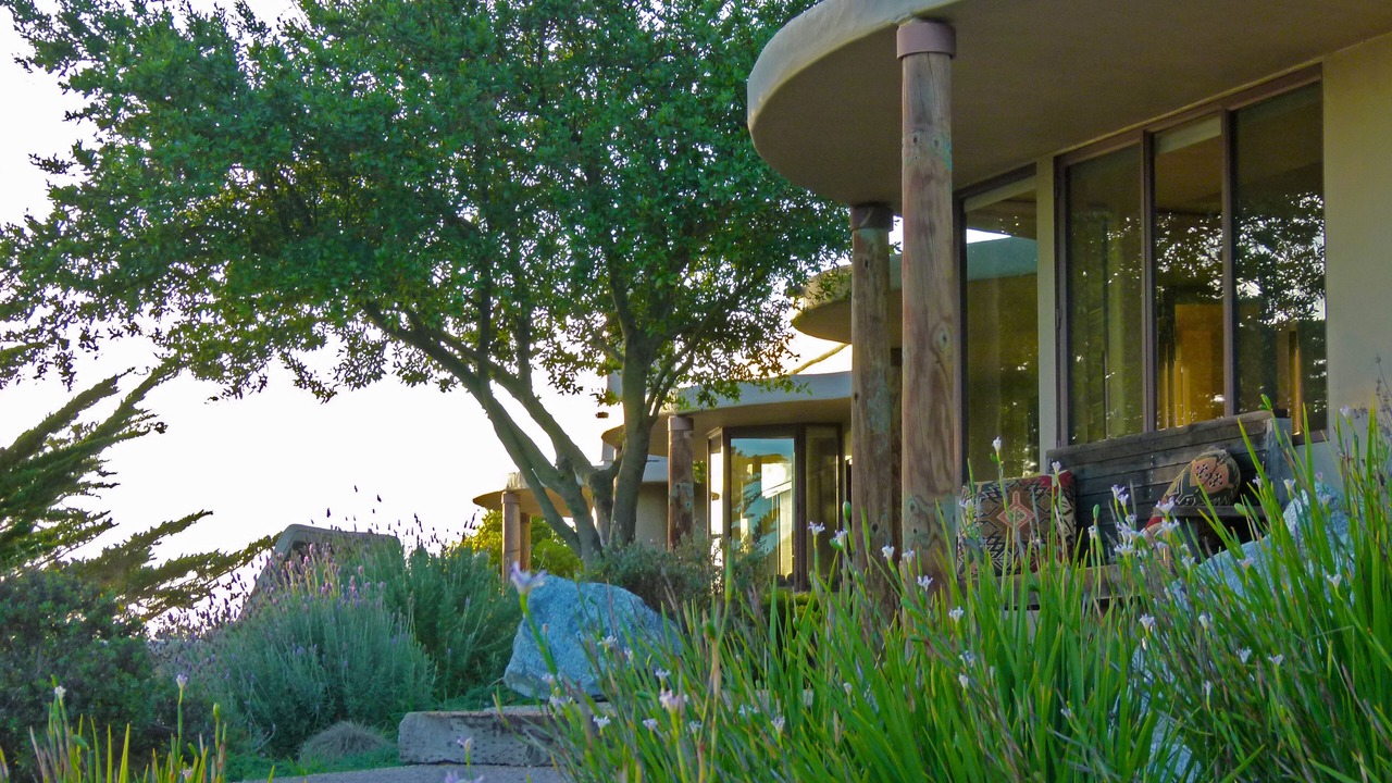Photo of Outdoor in Big Sur