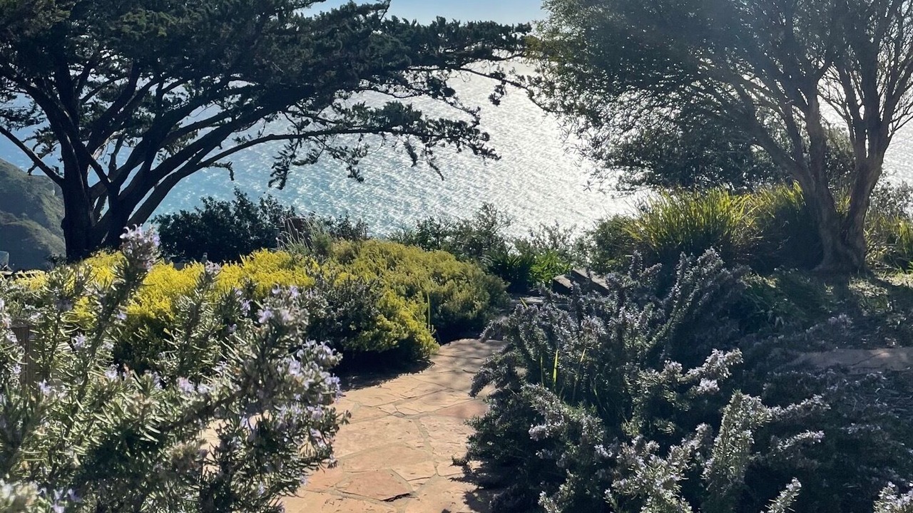 Photo of Outdoor in Big Sur
