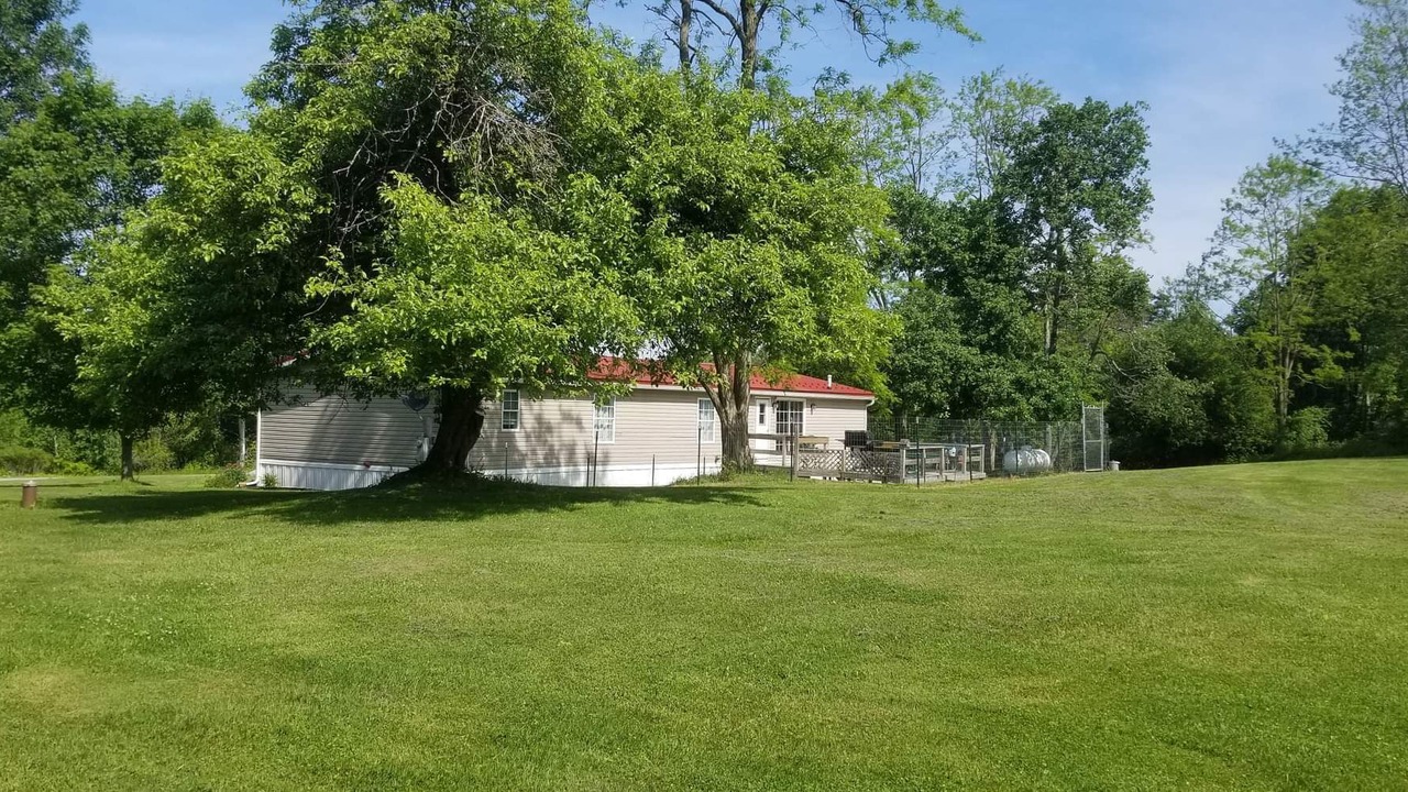 Photo of Outdoor in Dewittville