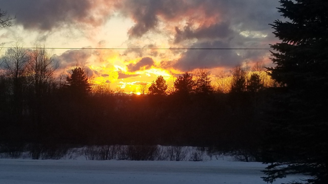 Photo of Others in Dewittville