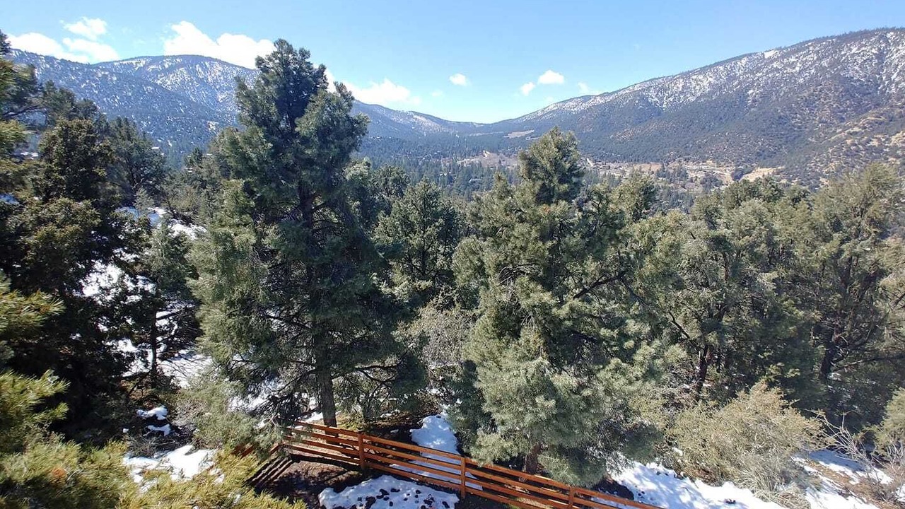 Photo of Others in Pine Mountain Club