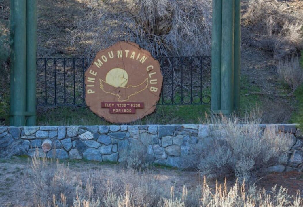 Photo of Others in Pine Mountain Club