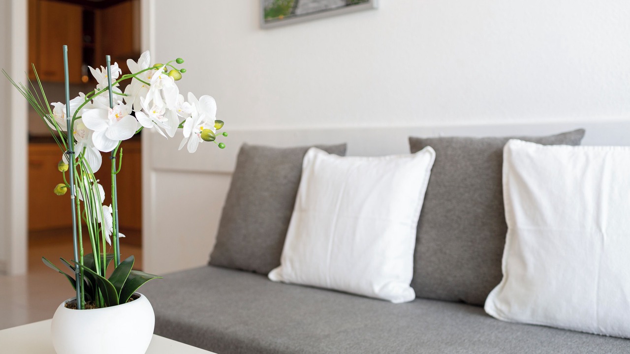 Photo of Livingroom in Blanes