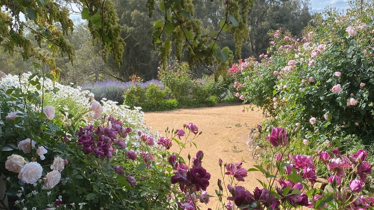 Photo of Outdoor in Axedale
