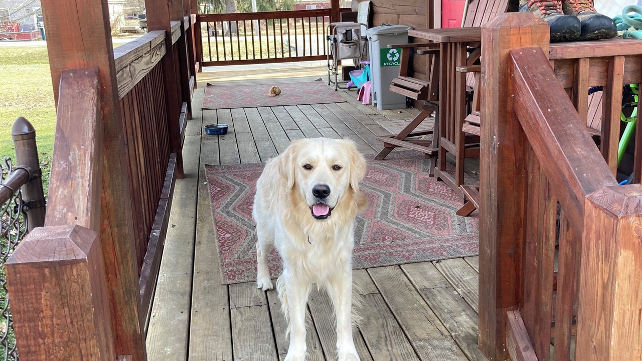 Photo of Patio Balcony in Westford