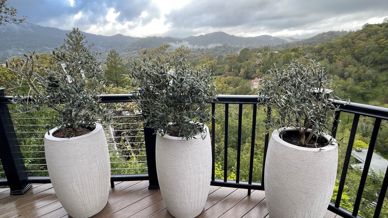 Photo of Outdoor in Greenbrae