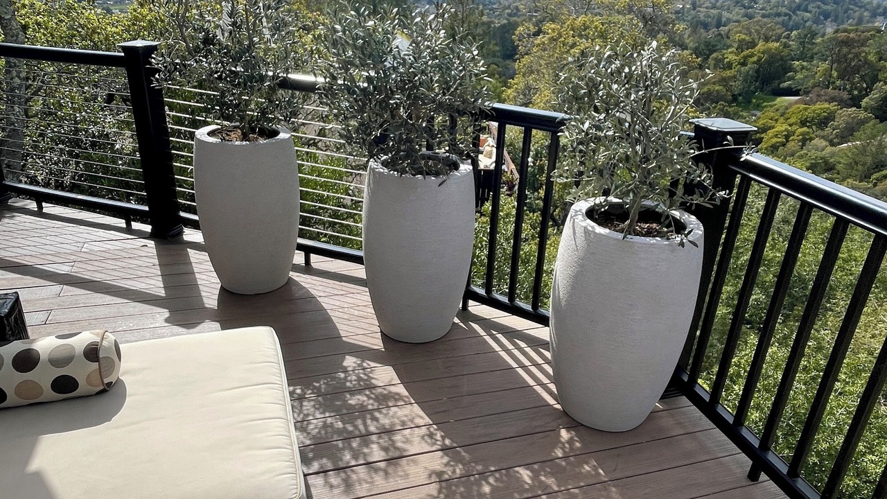 Photo of Outdoor in Greenbrae