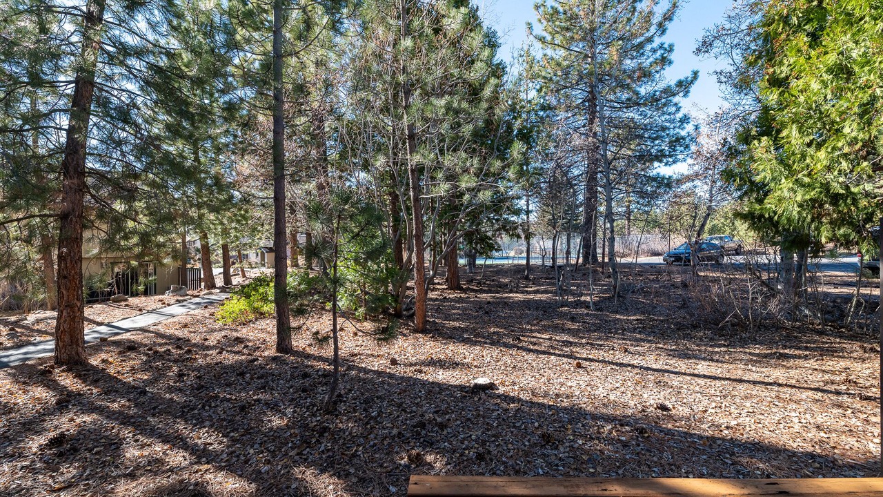 Photo of Outdoor in Lake Forest