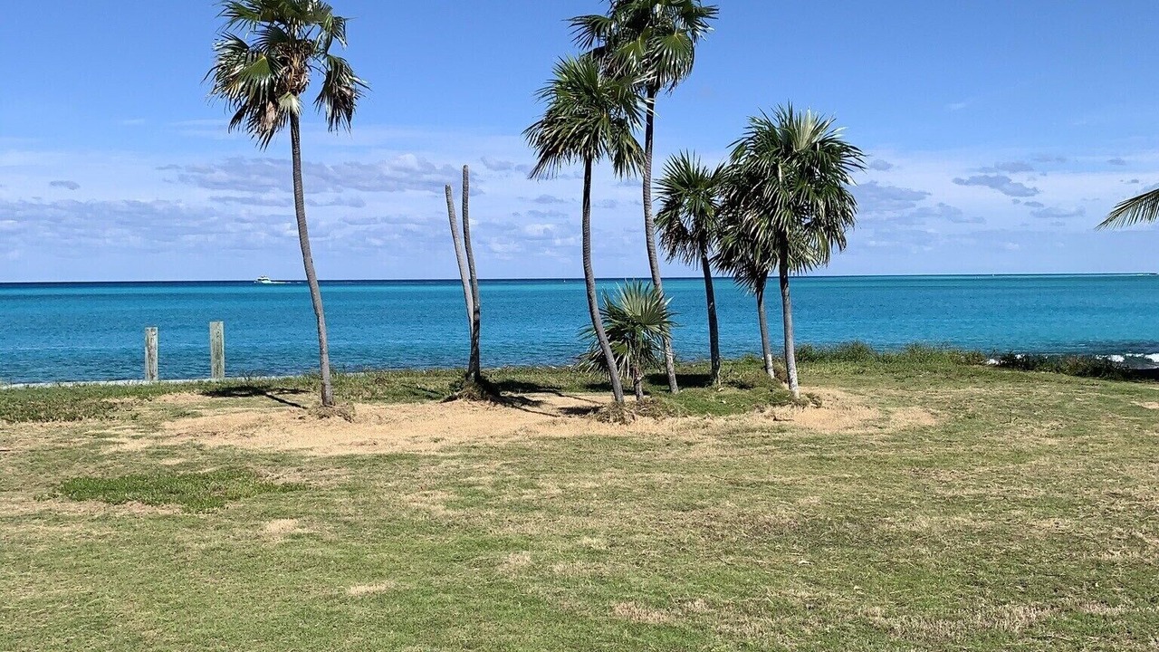 Photo of Outdoor in Port Royal