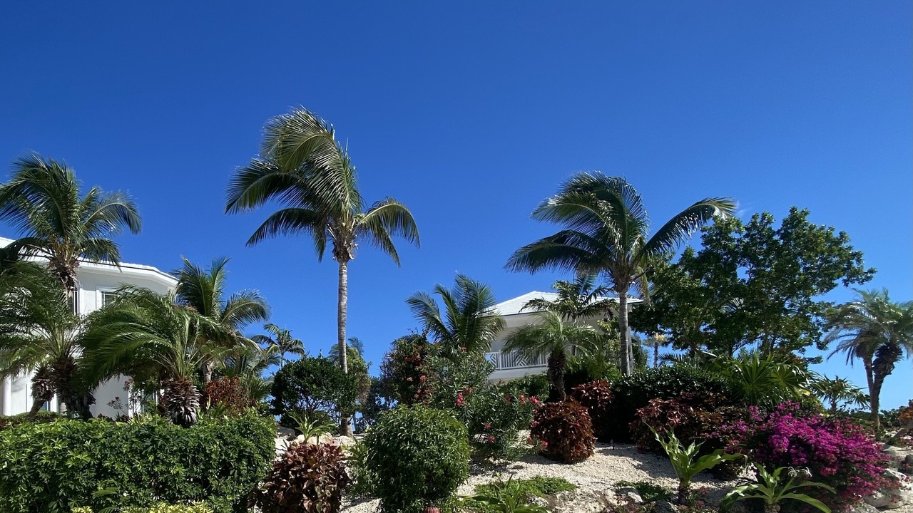 Photo of Outdoor in Rokers Point