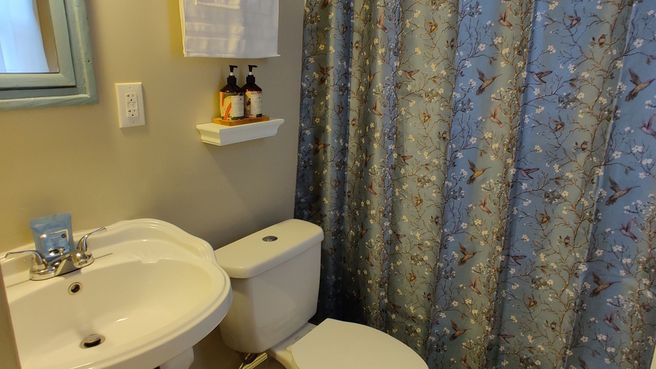 Photo of Bathroom in Avondale