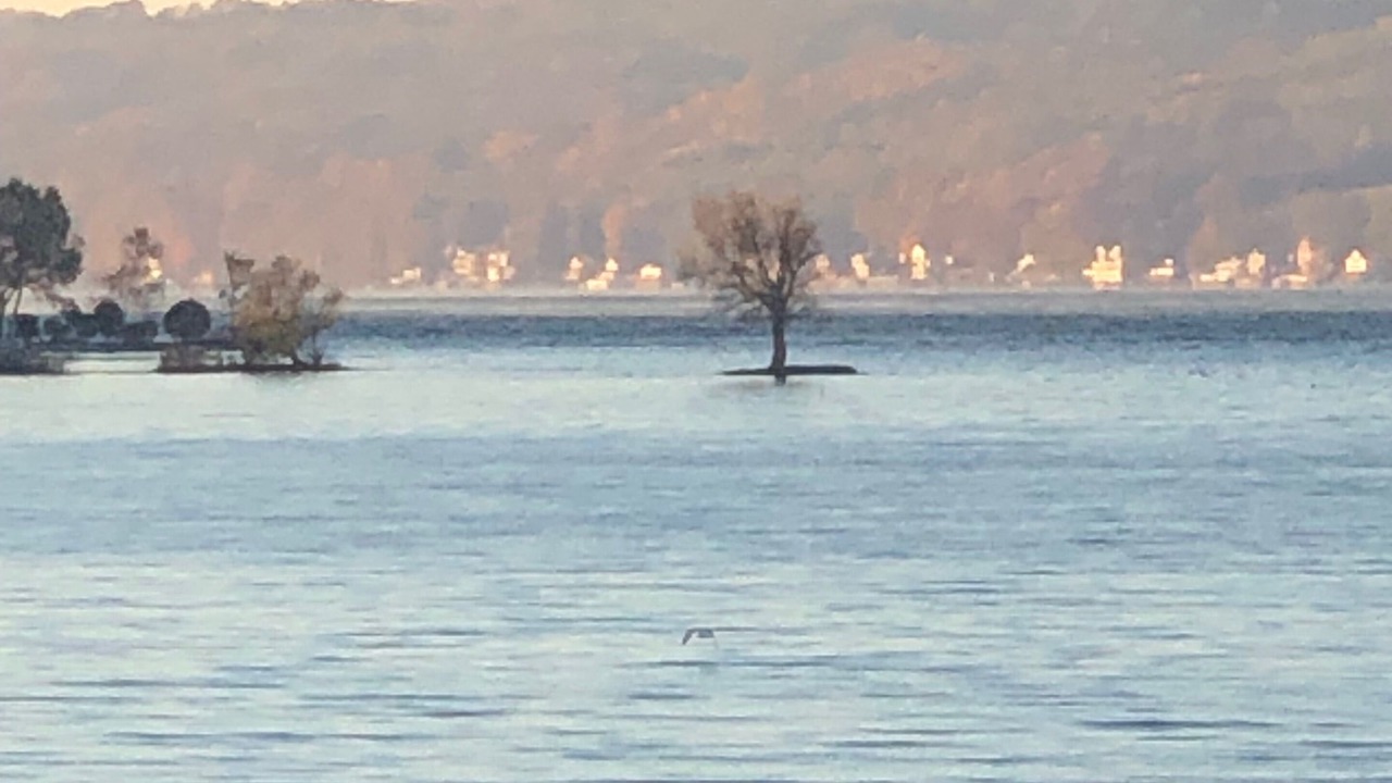 Photo of Others in Town of Owasco