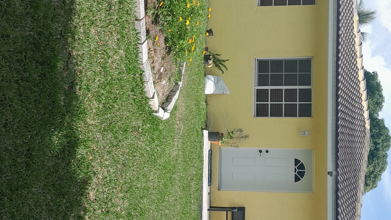 Photo of Outdoor in Lucaya