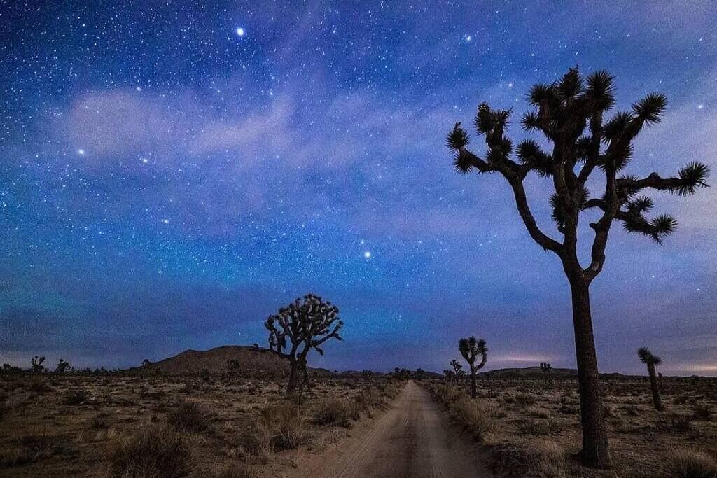 Photo of Others in Joshua Tree