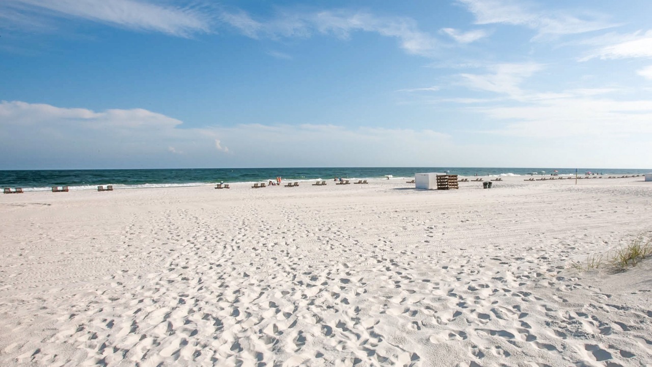 Photo of Others in Orange Beach