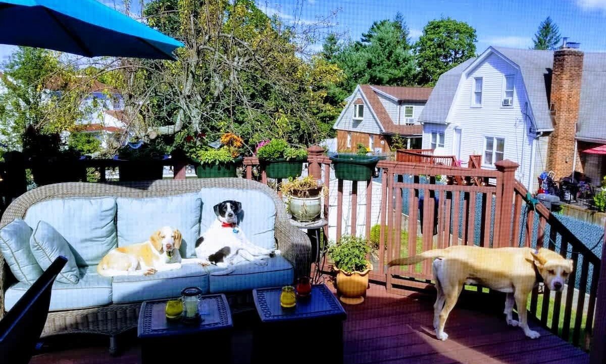 Photo of Outdoor in Port Chester