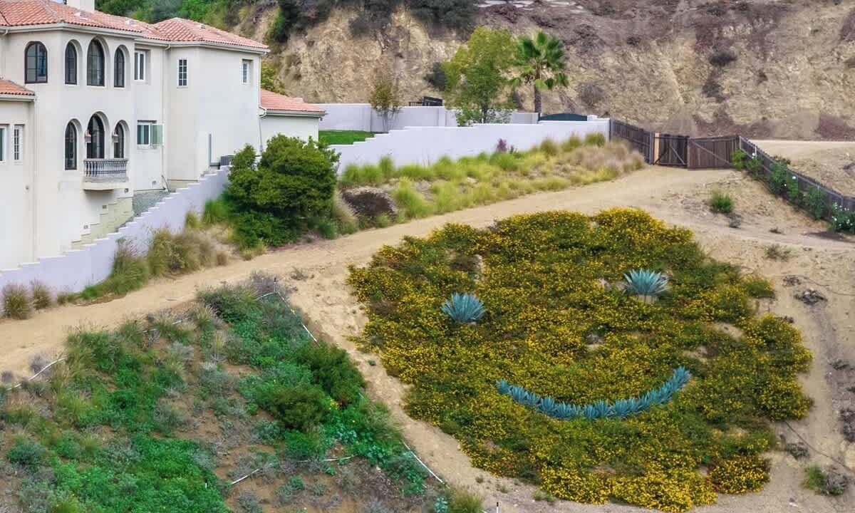 Photo of Others in Hollywood Hills