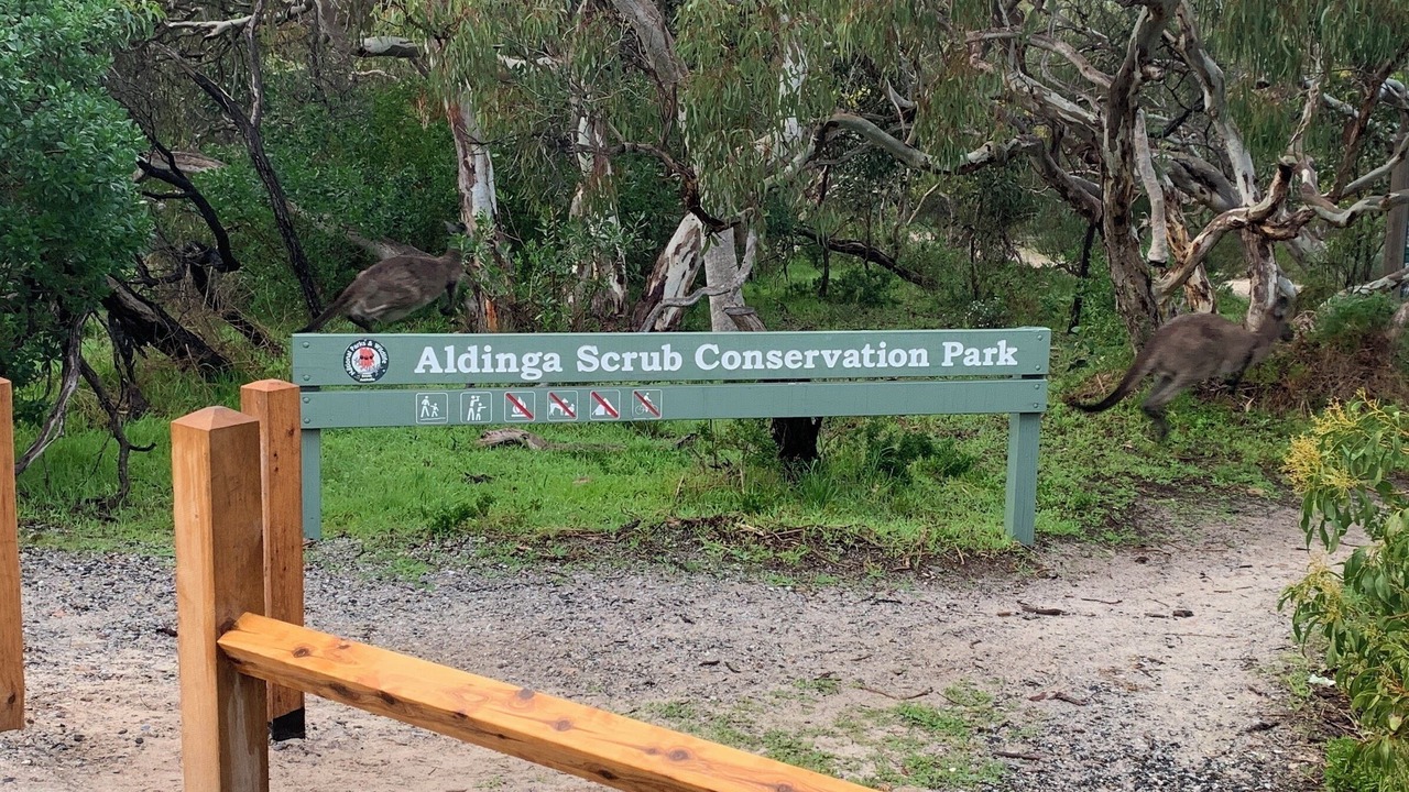 Photo of Outdoor in Aldinga Beach