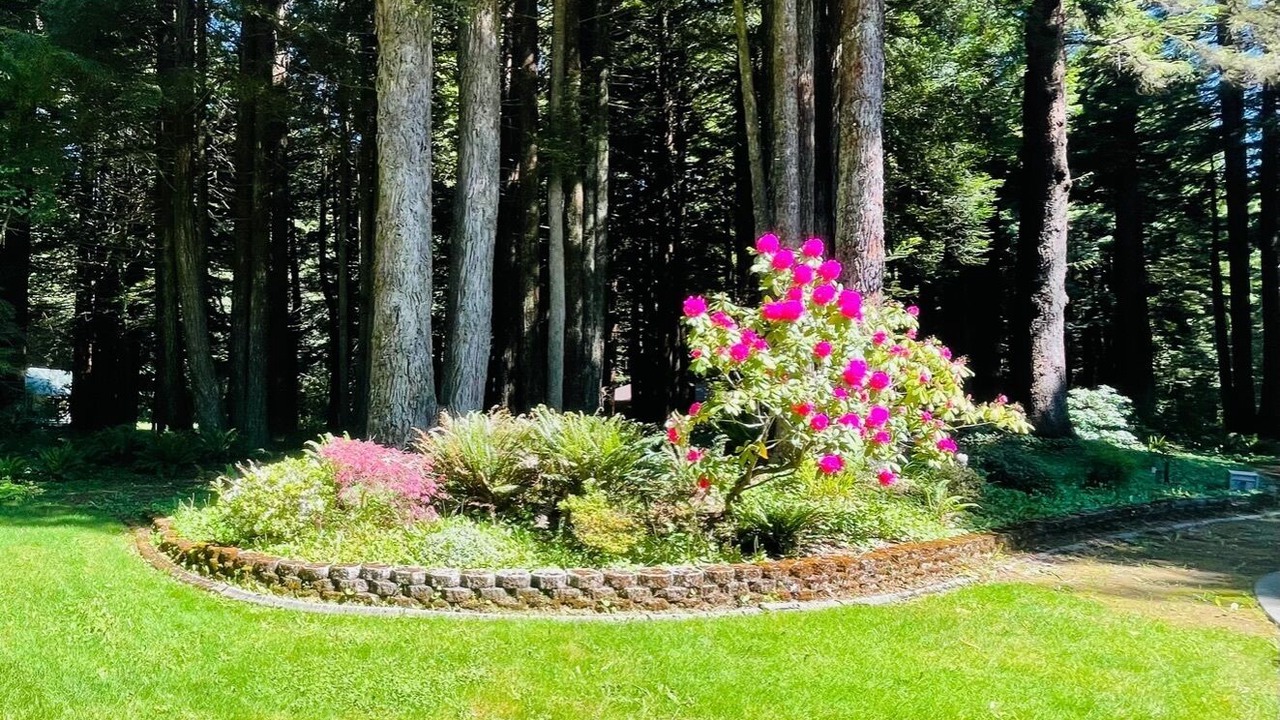 Photo of Outdoor in Crescent City