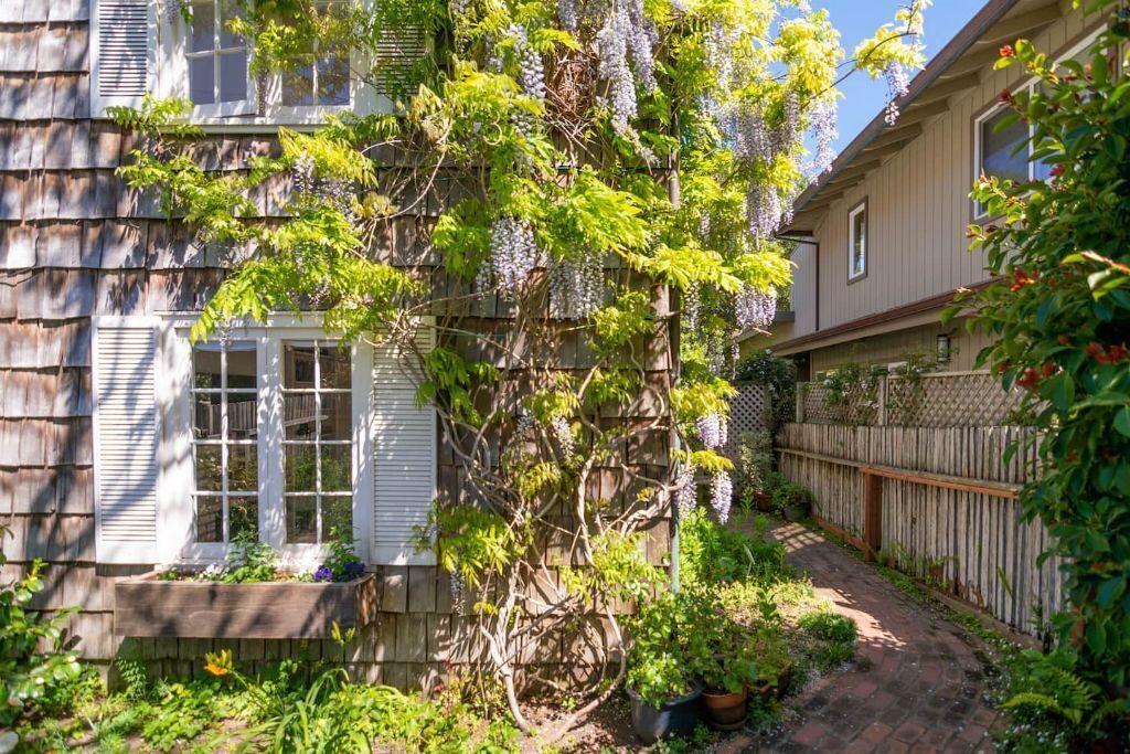 Photo of Outdoor in Carmel Point