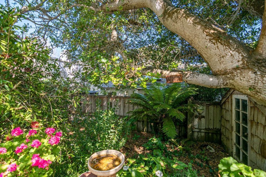 Photo of Outdoor in Carmel Point