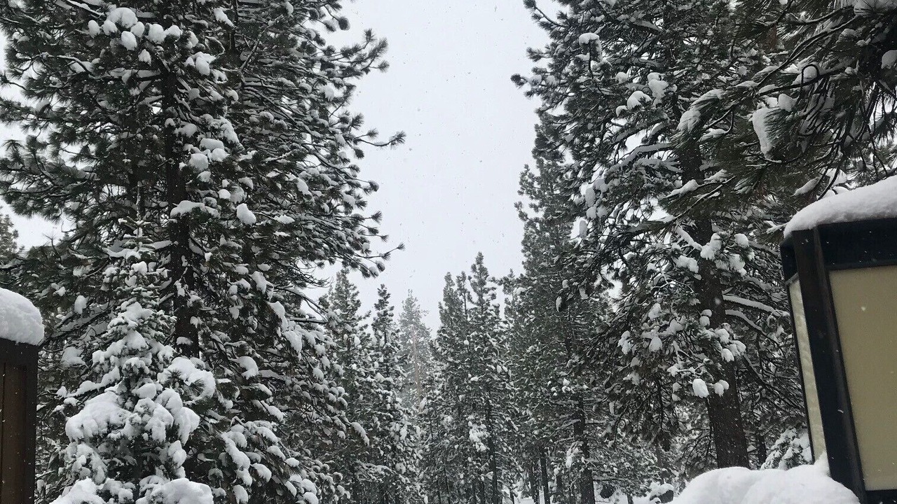 Photo of Outdoor in Zephyr Cove