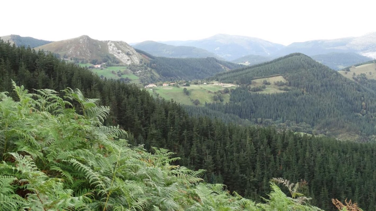 Photo of Others in Berriz