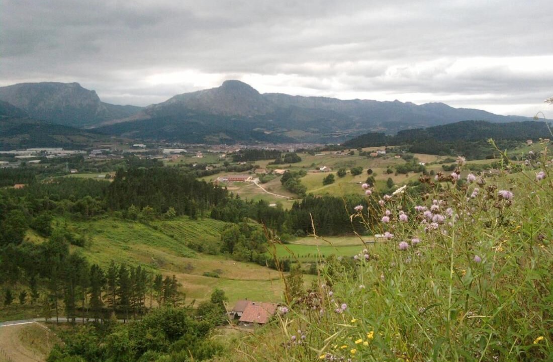 Photo of Others in Berriz