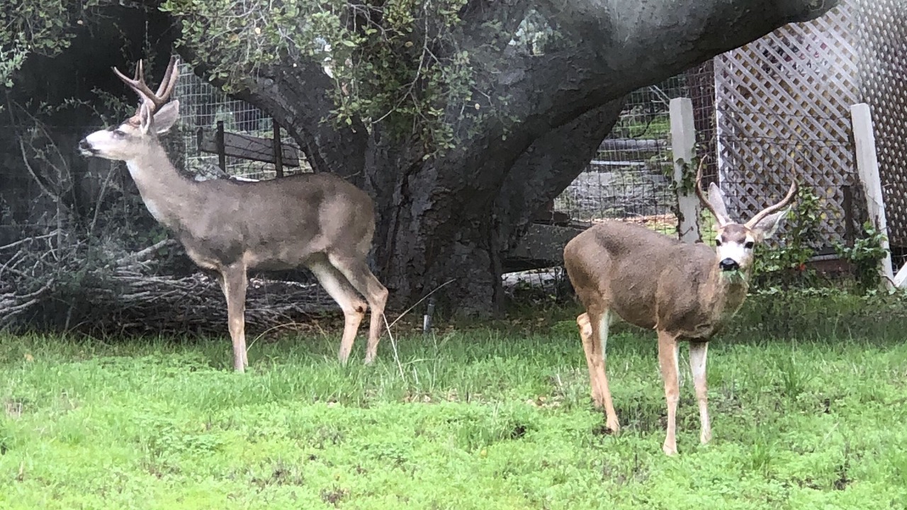 Photo of Outdoor in Rancho Rio Vista
