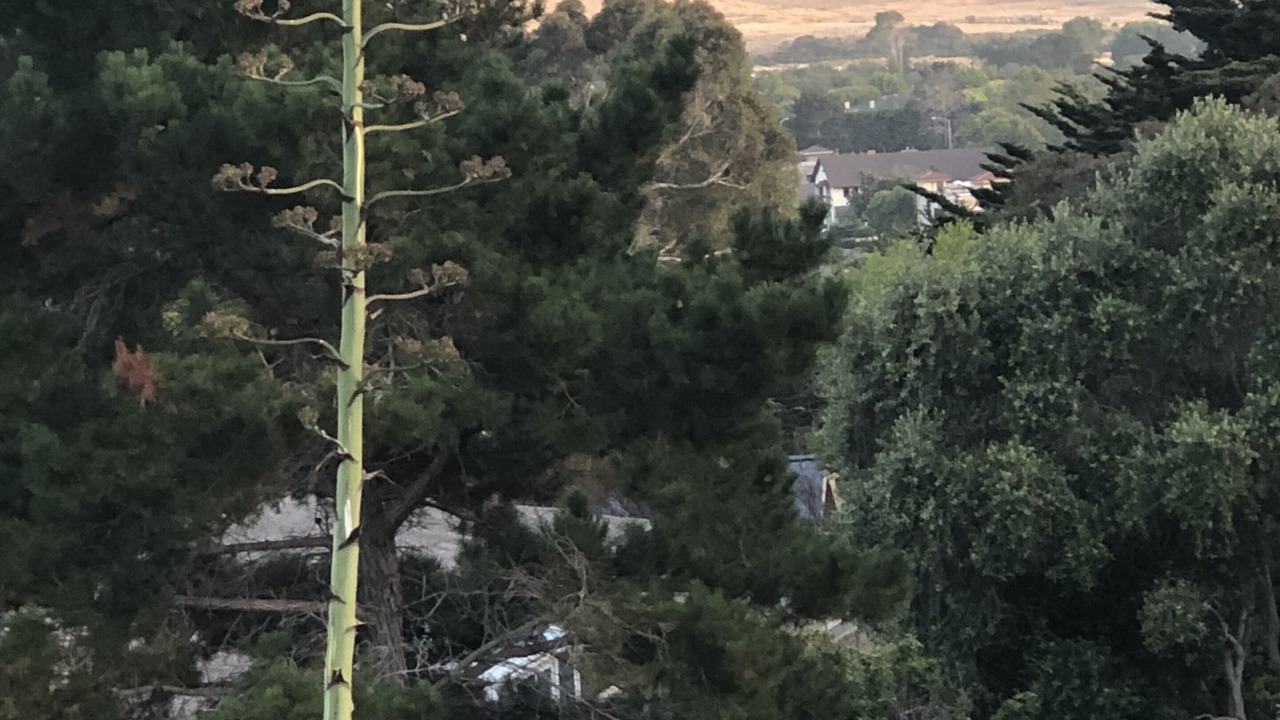 Photo of Others in Rancho Rio Vista