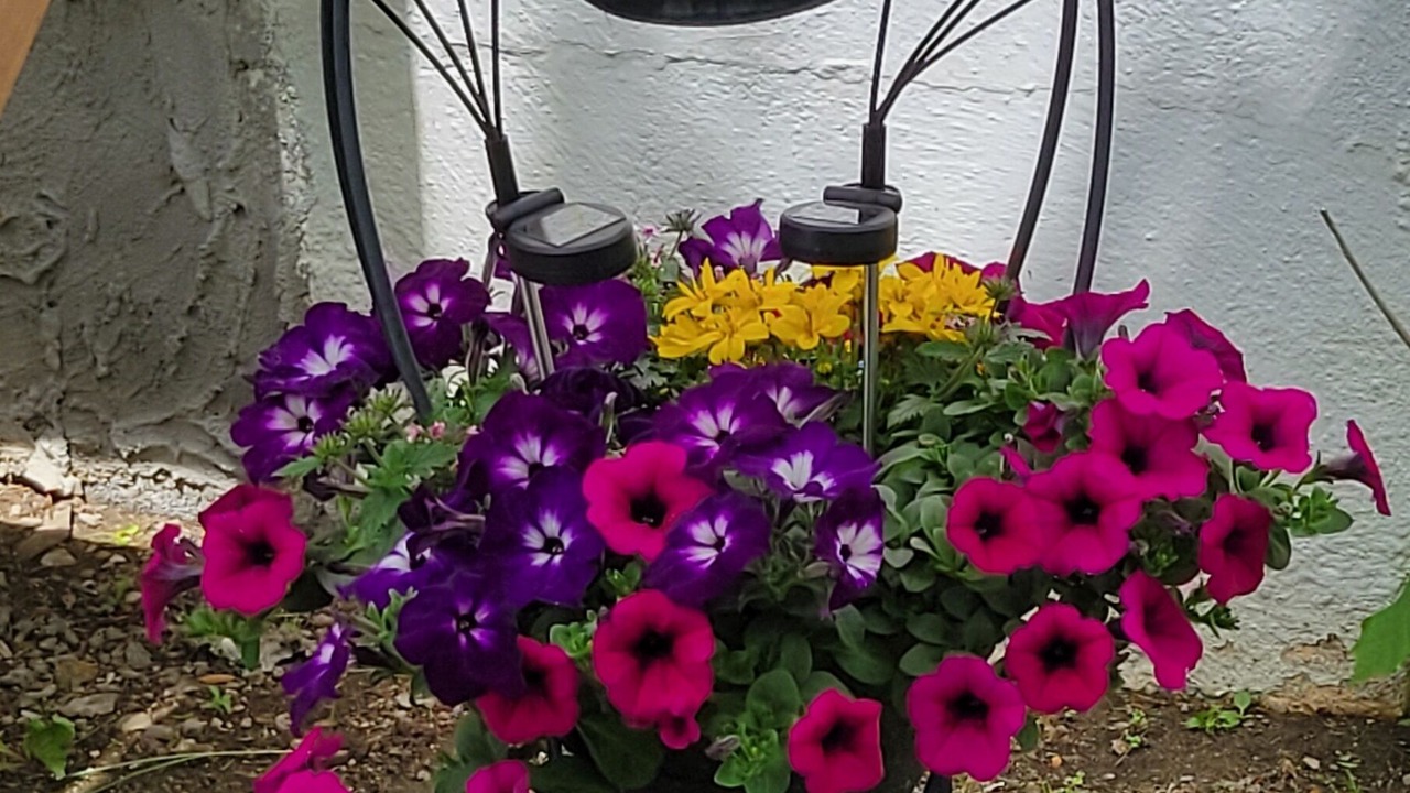 Photo of Outdoor in Montour Falls