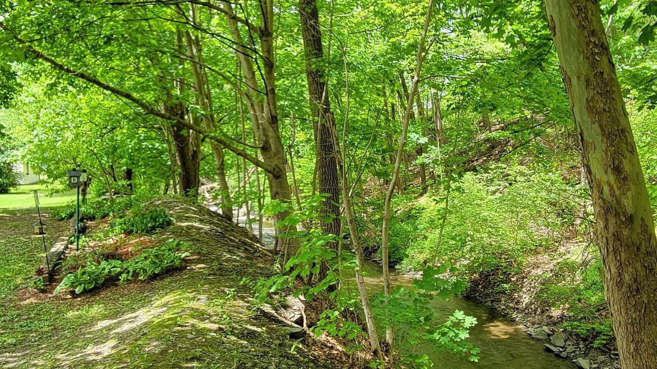 Photo of Outdoor in Montour Falls