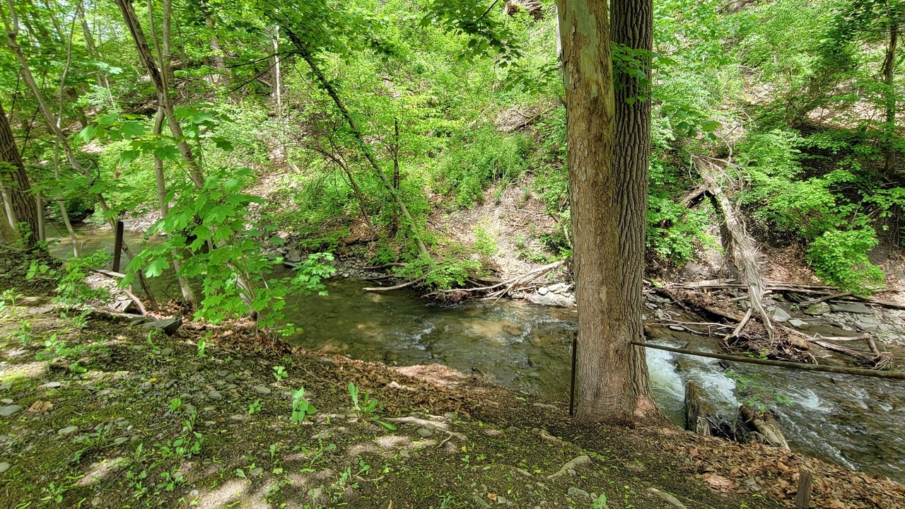 Photo of Others in Montour Falls