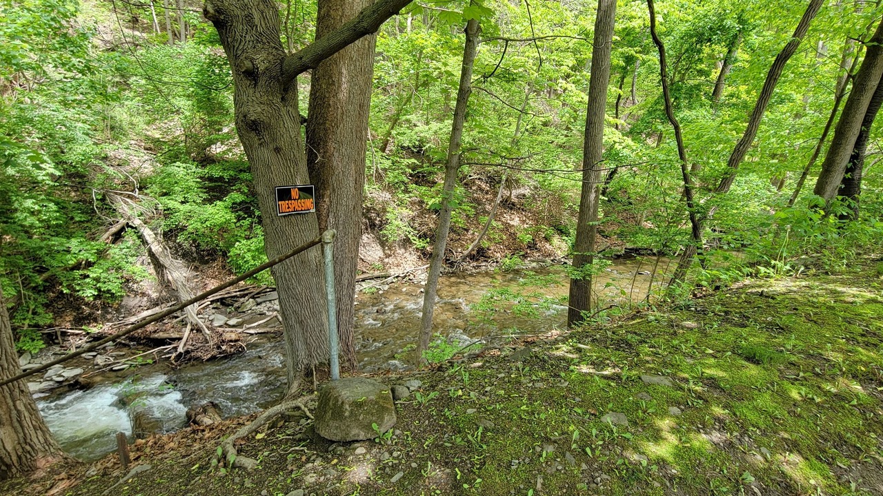 Photo of Others in Montour Falls