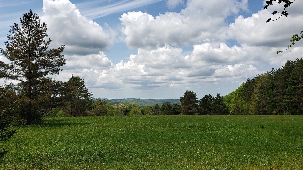Photo of Outdoor in Farmersville Station