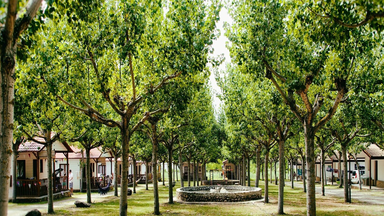 Photo of Outdoor in La Puebla de Roda