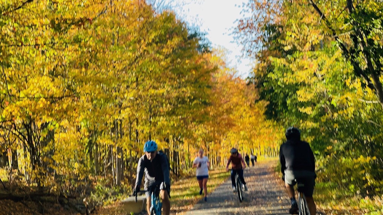 Photo of Others in Walton Park