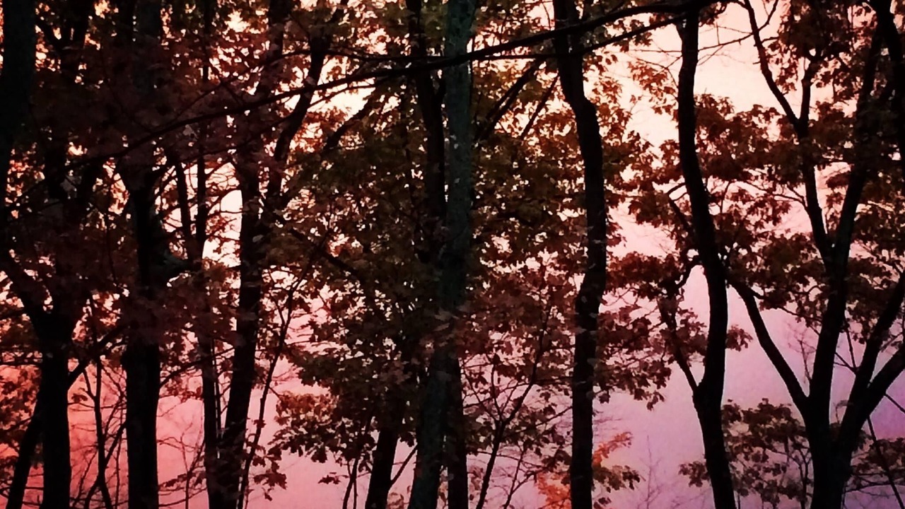 Photo of Others in Walton Park