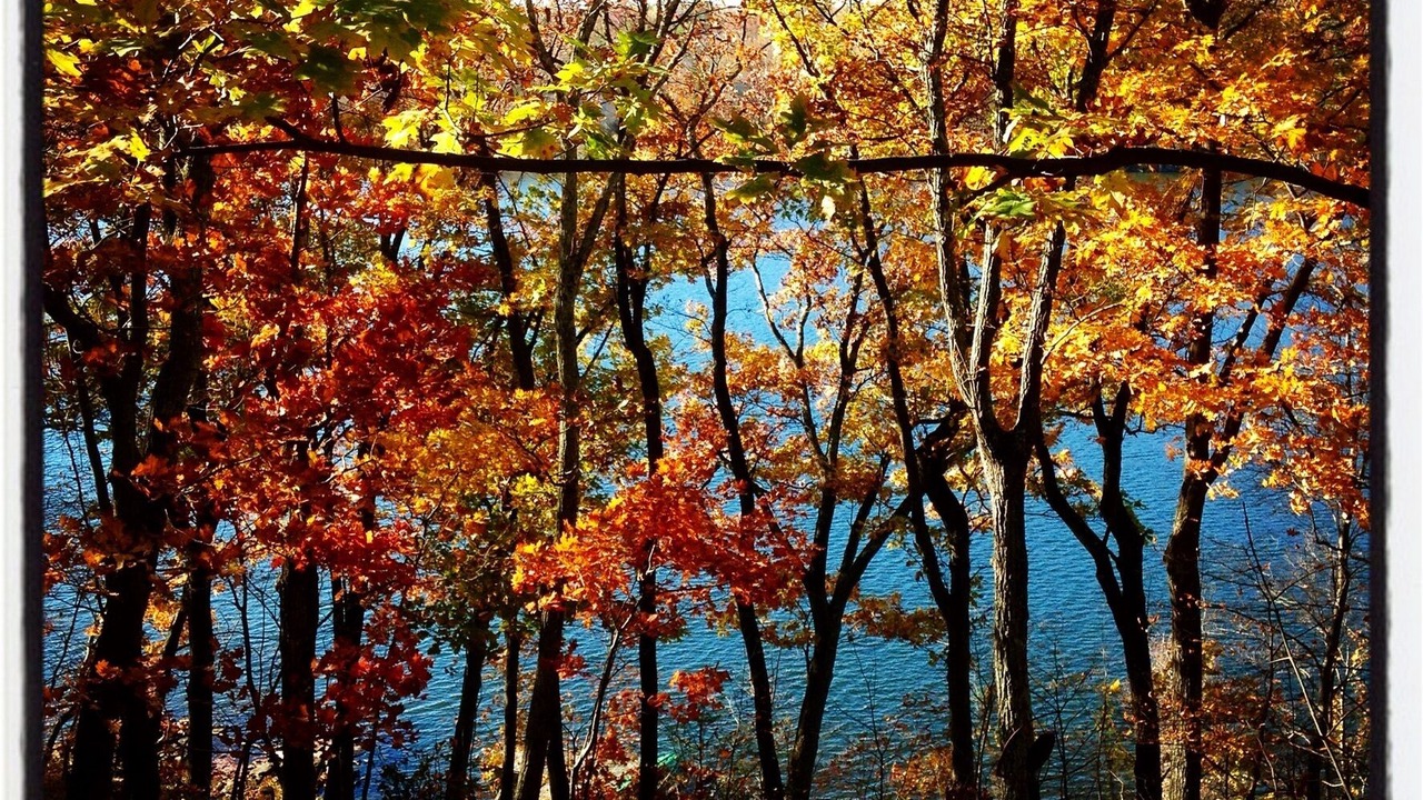 Photo of Outdoor in Walton Park