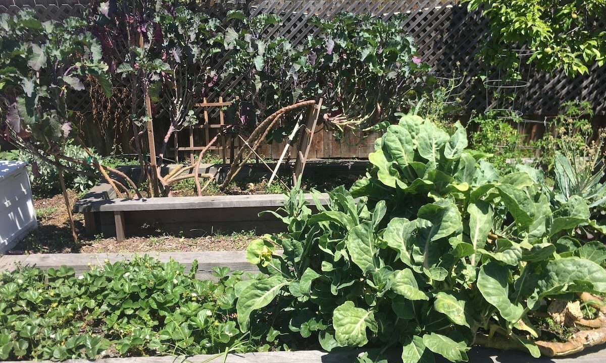 Photo of Outdoor in Southwest Berkeley