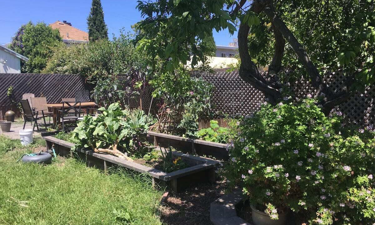 Photo of Outdoor in Southwest Berkeley