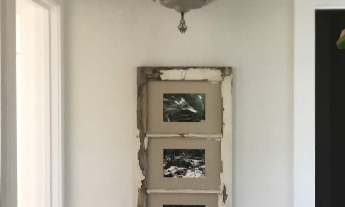 Photo of Others in Southwest Berkeley