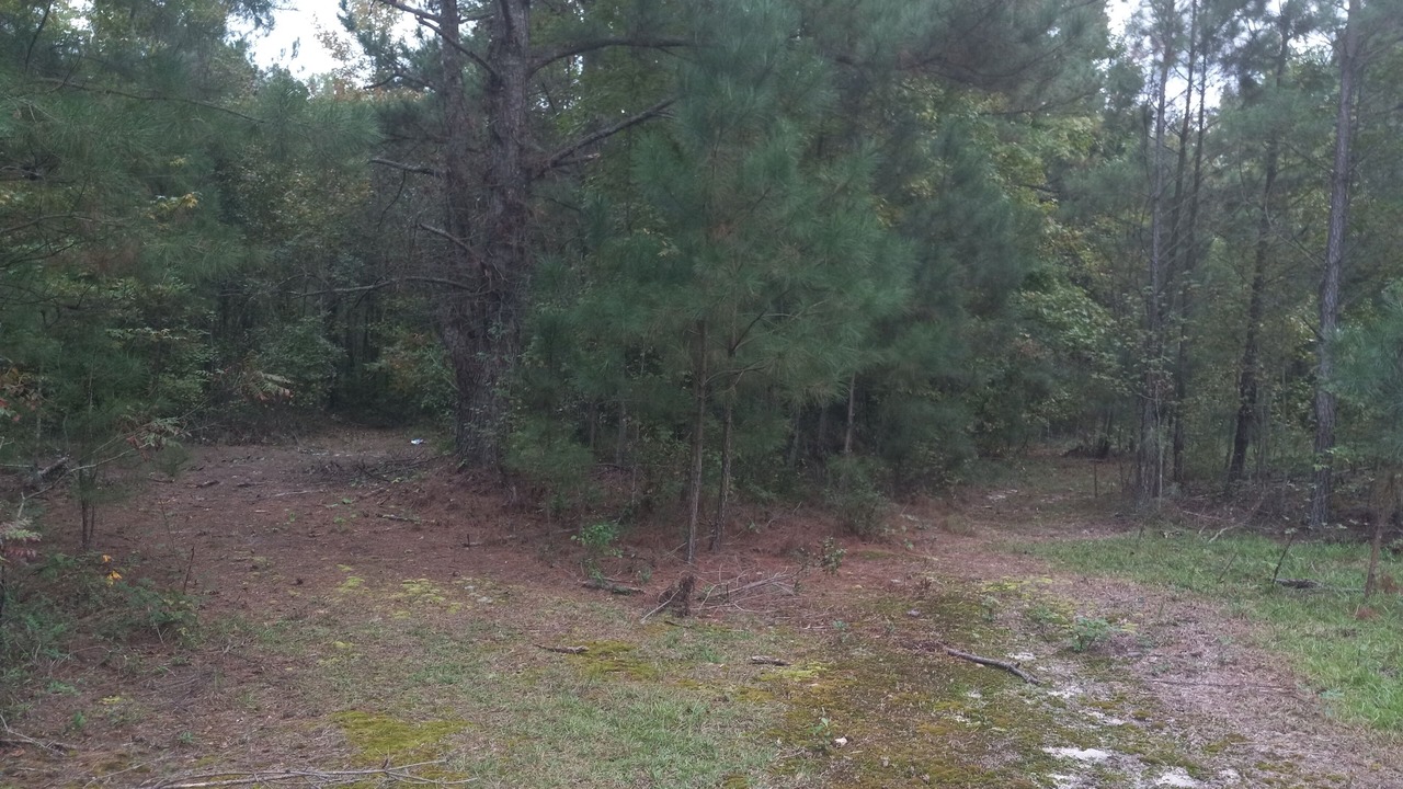 Photo of Outdoor in Cordova