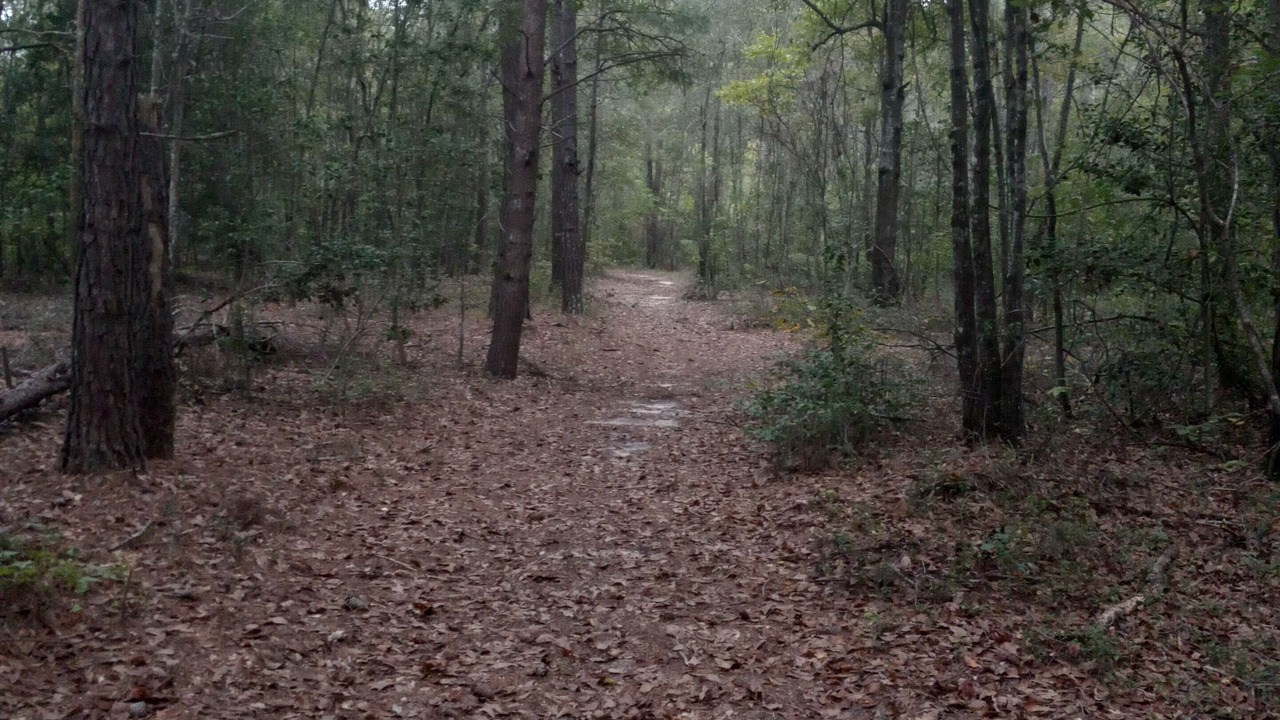 Photo of Outdoor in Cordova
