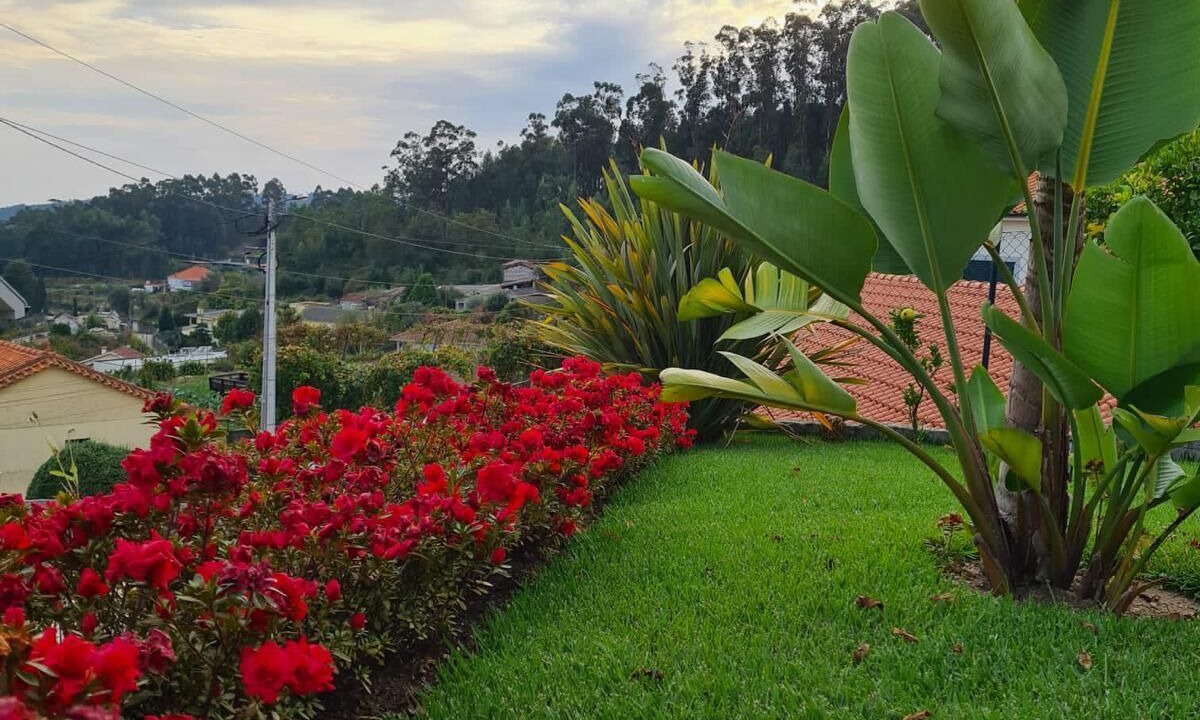 Photo of Outdoor in Portela