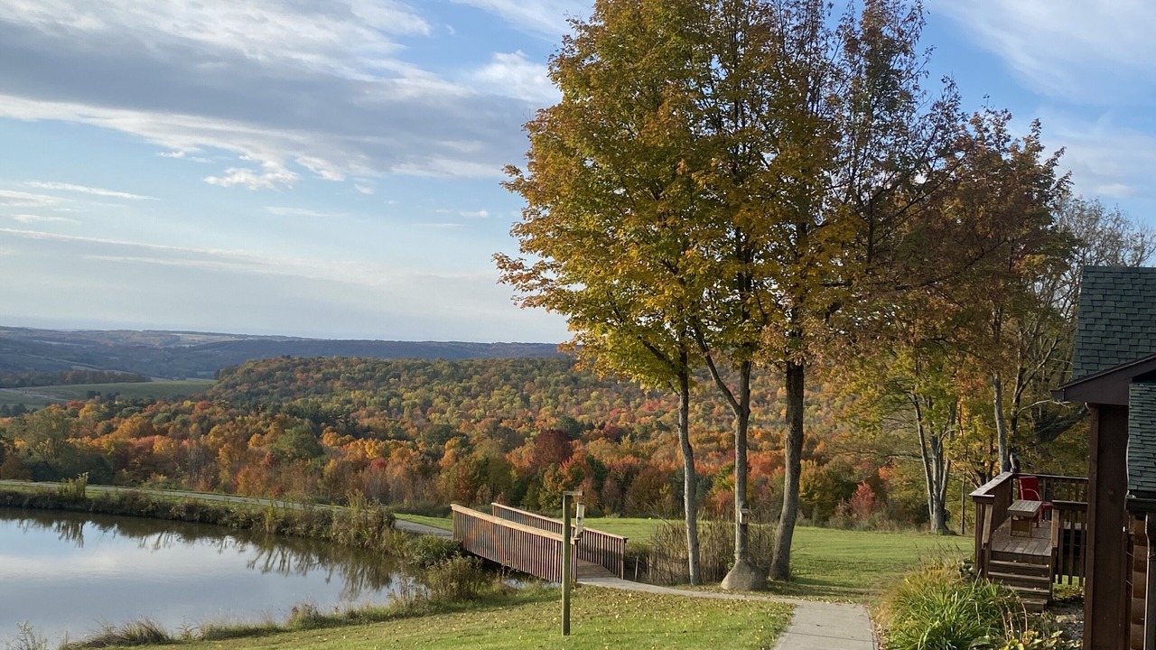Photo of Outdoor in Dansville